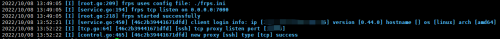 frp_server_start.png
