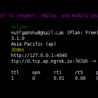 ngrok_start