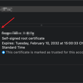 save_cert